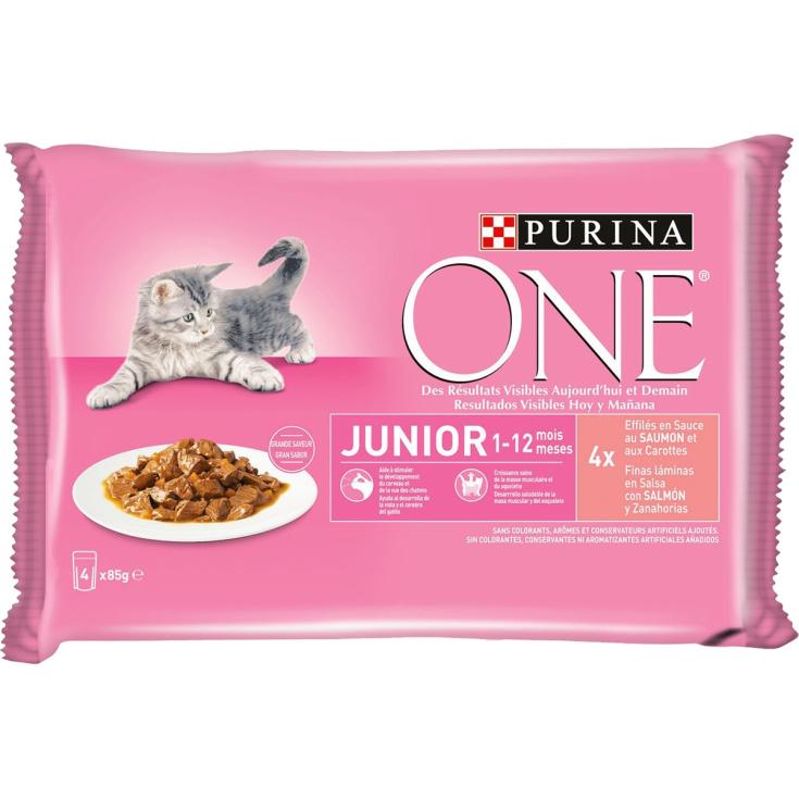 Alimento Húmedo Gatos Salmón y Zanahoria One 